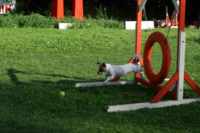 agility 2011-08